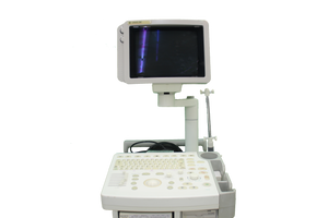 GE Logiq 200 Ultrasound